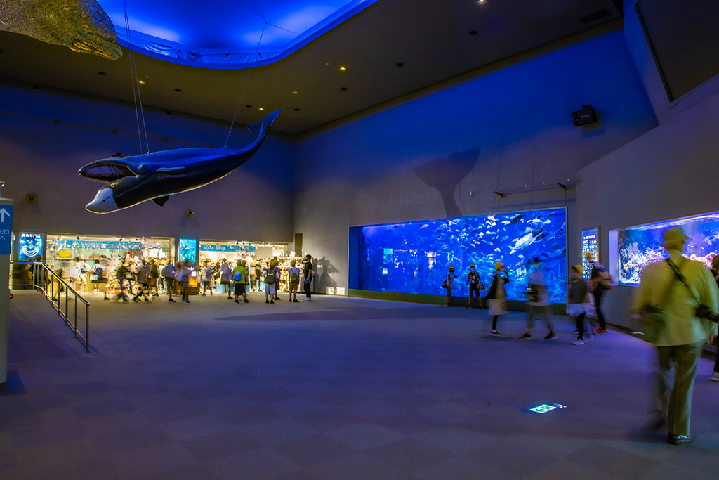 /鳥羽水族館（三重県/鳥羽市）