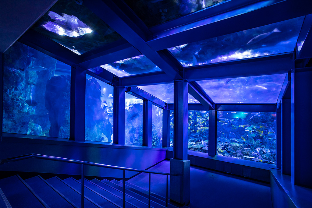 大水槽/鳥羽水族館（三重県/鳥羽市）