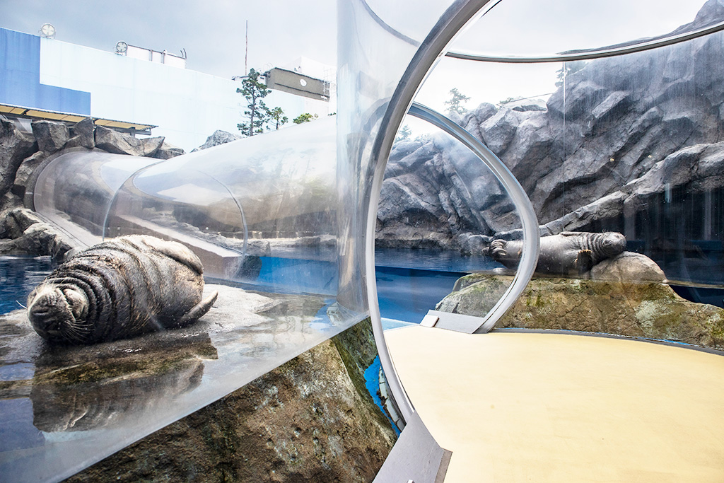 「海獣の王国」/鳥羽水族館（三重県/鳥羽市）