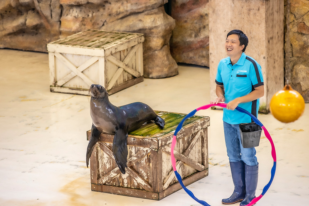 アシカショー/鳥羽水族館（三重県/鳥羽市）