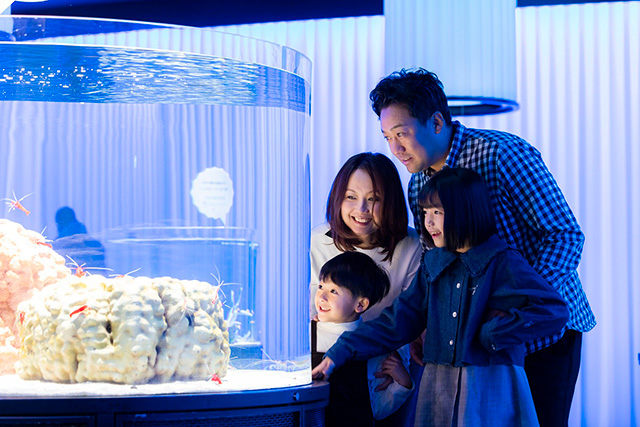 NIFREL（ニフレル）（大阪府/吹田市）