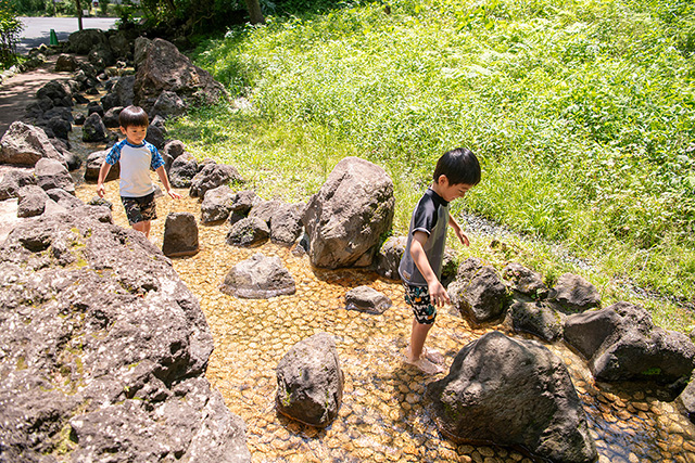 こどもの国(神奈川県/横浜市青葉区)