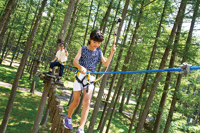 ツリーアドベンチャー（/ホテルリステル猪苗代ウイングタワー（福島県/猪苗代町）
