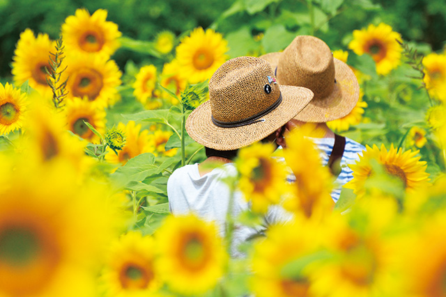 ハーブ園/ホテルリステル猪苗代ウイングタワー（福島県/猪苗代町）