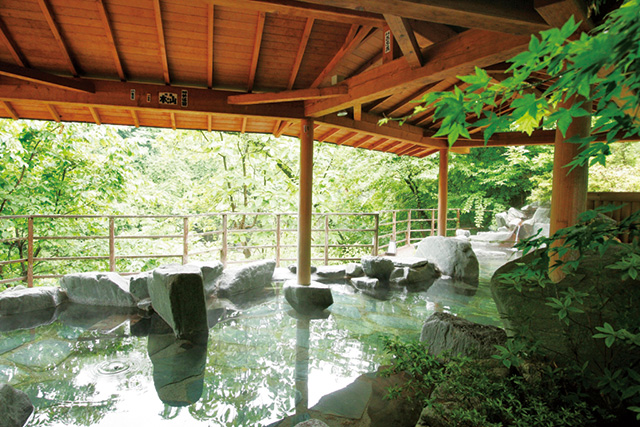 さるあみの湯/奥飯坂 穴原温泉 吉川屋（福島県/福島市）