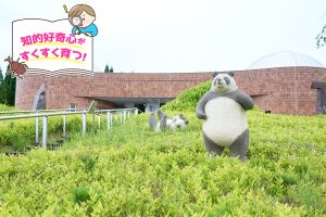 やきものの里・信楽にある滋賀県立陶芸の森(滋賀県)で陶芸と自然を体感する