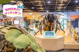 伊丹市昆虫館（兵庫県）には巨大なミツバチの模型！関西最大級のチョウ温室も必見