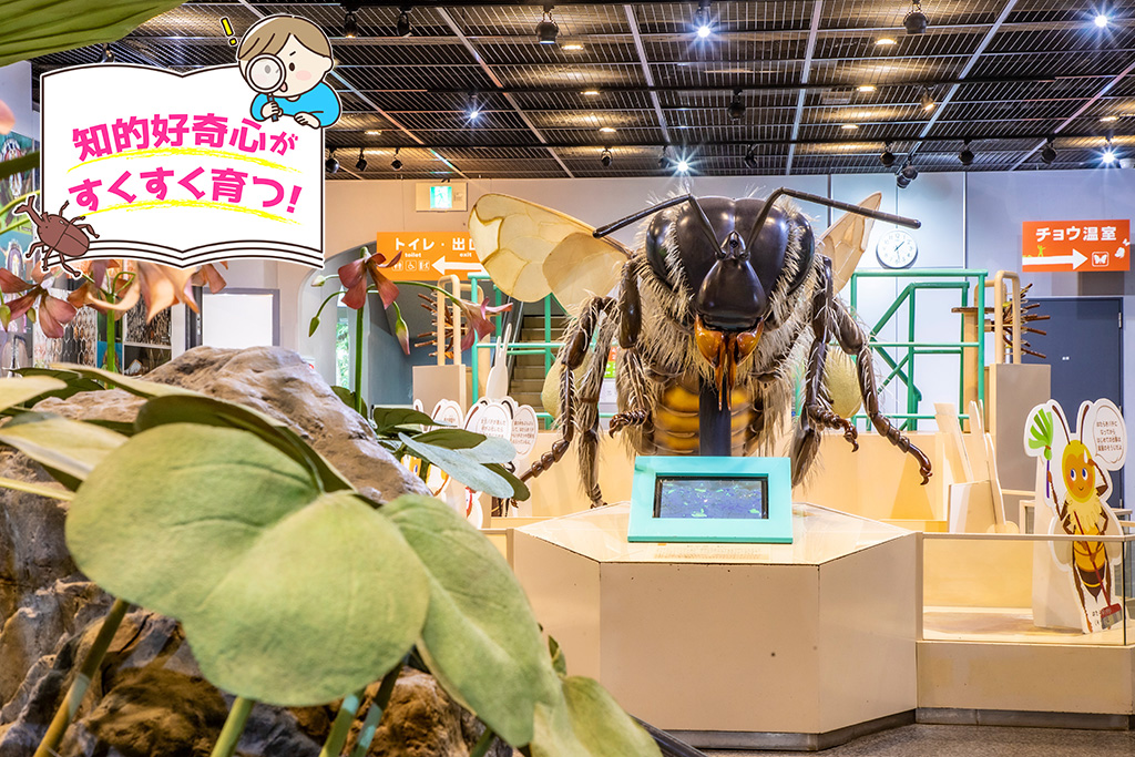 伊丹市昆虫館（兵庫県）