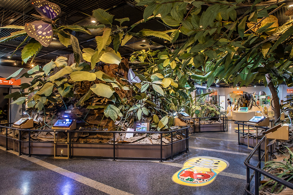 第1展示室/伊丹市昆虫館（兵庫県）