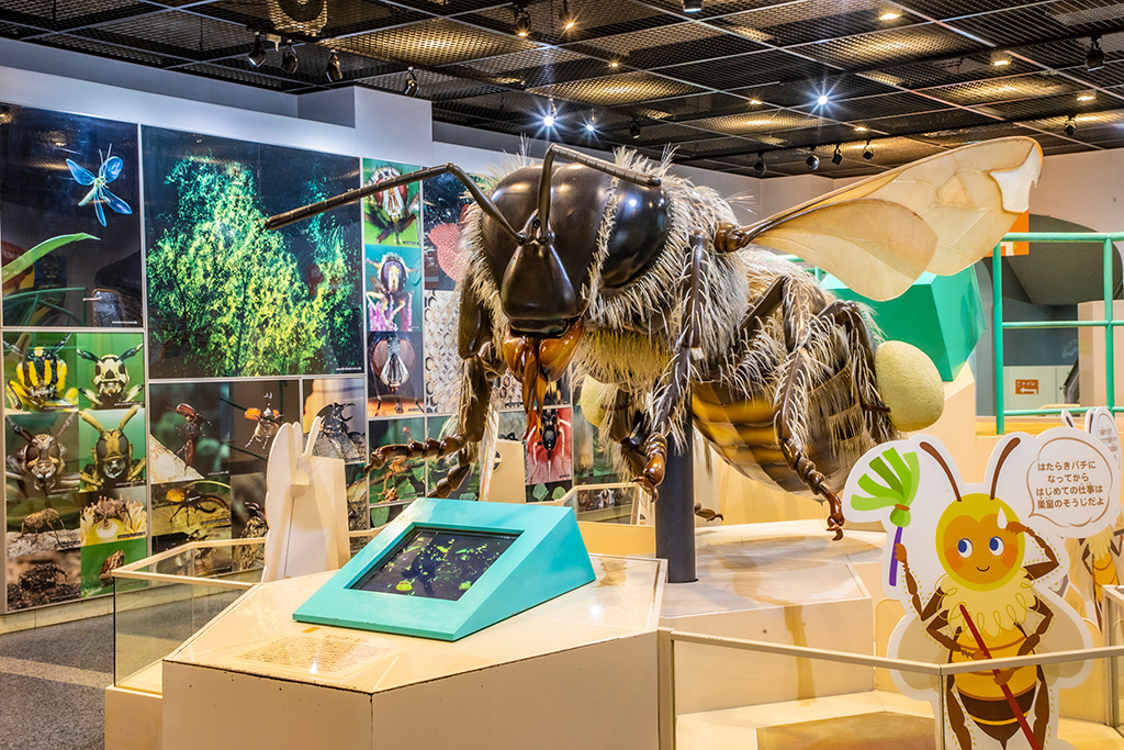 ミツバチの模型「ビッグ・ビー」/伊丹市昆虫館（兵庫県）