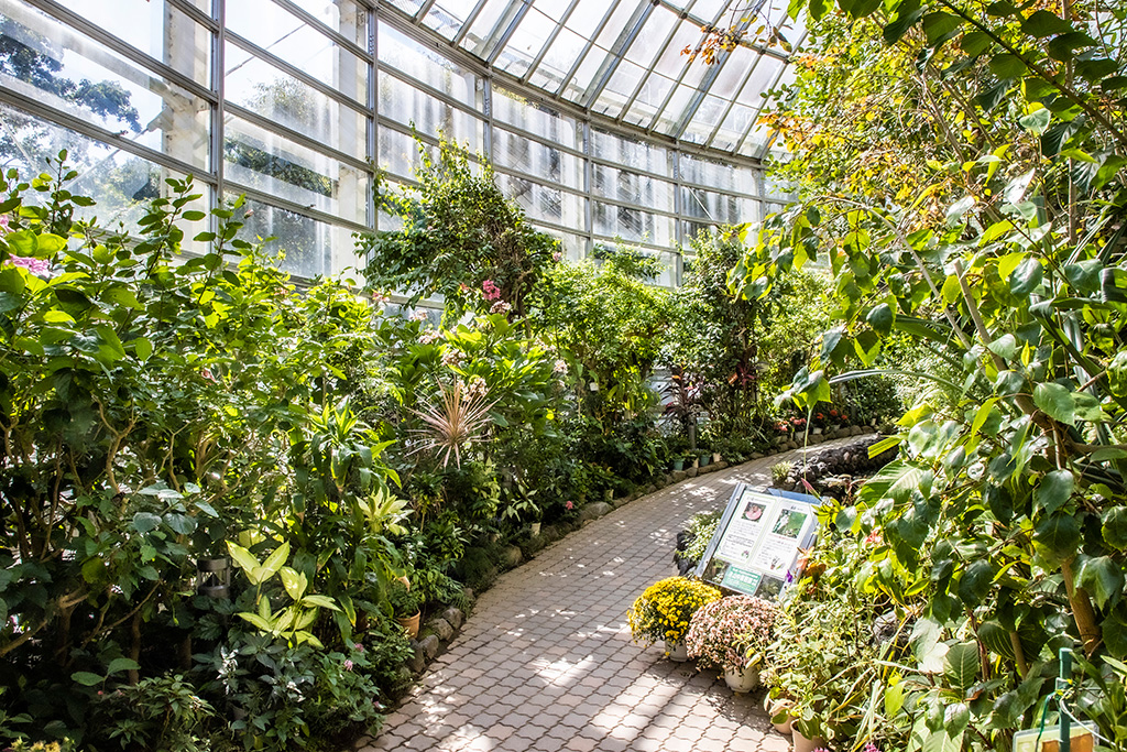 「チョウ温室」/伊丹市昆虫館（兵庫県）