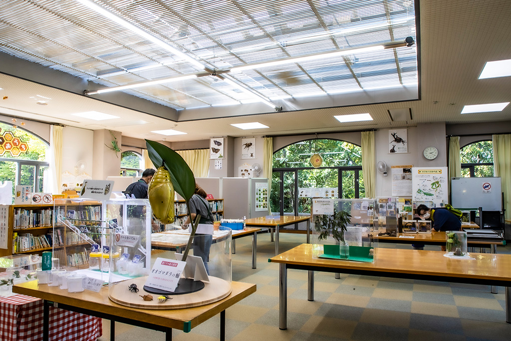 「学習室」/伊丹市昆虫館（兵庫県）
