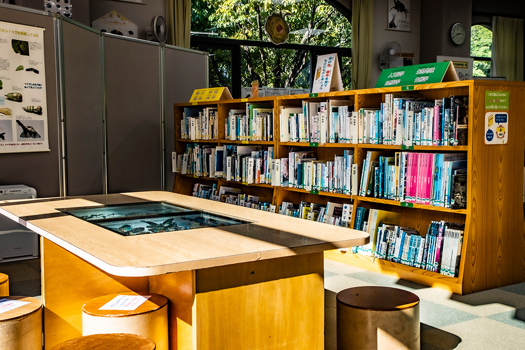 図書コーナー/伊丹市昆虫館（兵庫県）