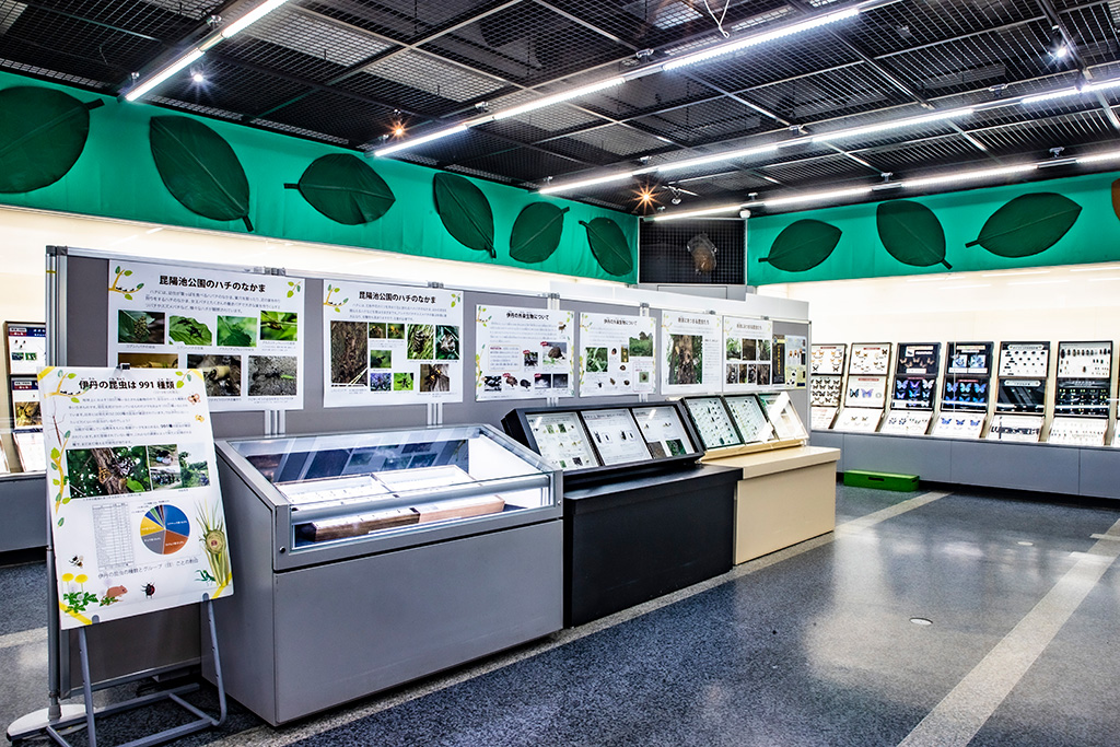 「特別展示室」/伊丹市昆虫館（兵庫県）