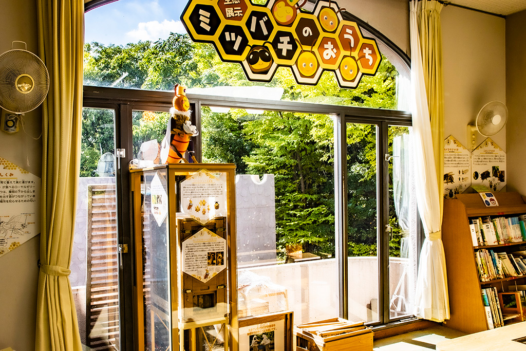 「ミツバチのおうち」/伊丹市昆虫館（兵庫県）