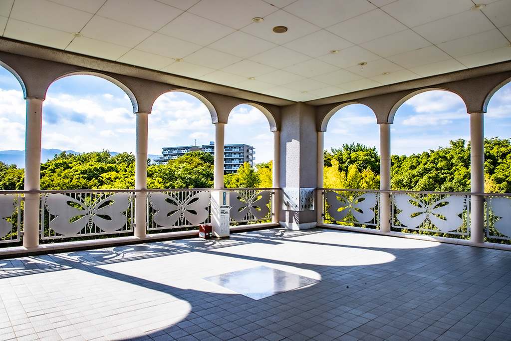 展望台/伊丹市昆虫館（兵庫県）
