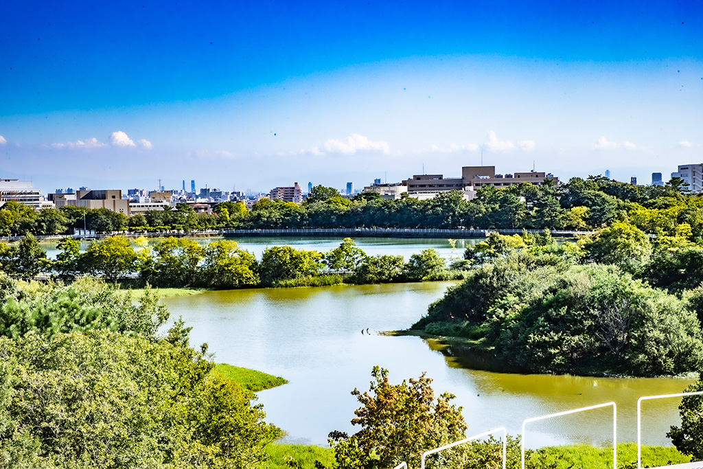 展望台から見える昆陽池/伊丹市昆虫館（兵庫県）