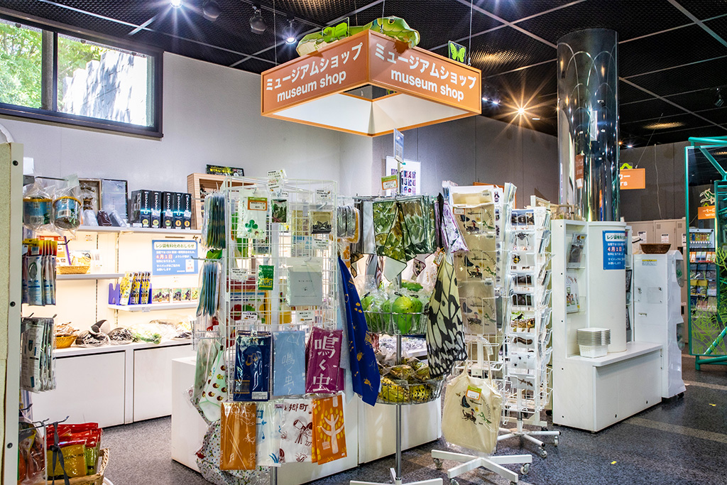 ミュージアムショップ/伊丹市昆虫館（兵庫県）