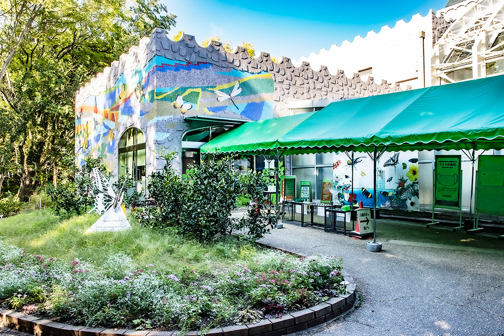 伊丹市昆虫館（兵庫県）