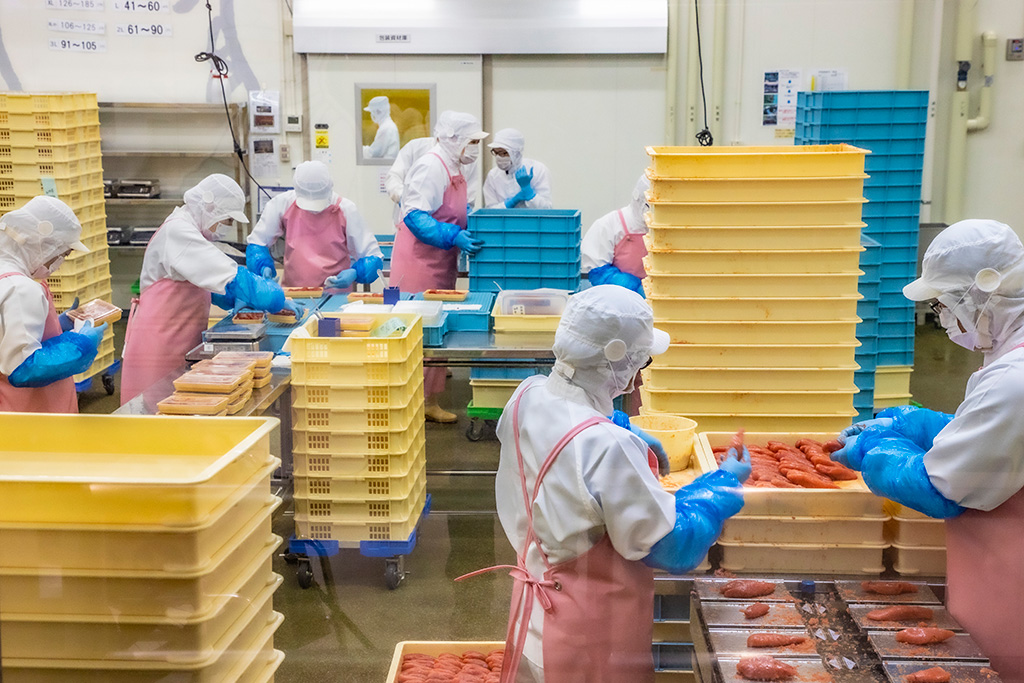 「計量・整形・包装」の工程を行なっているところ/めんたいパーク神戸三田(兵庫県/幸兵衛氏)