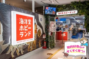 海洋堂ホビーランド（大阪府）は、1万点以上の立体作品が語りかけるフィギュアのワンダーランド！