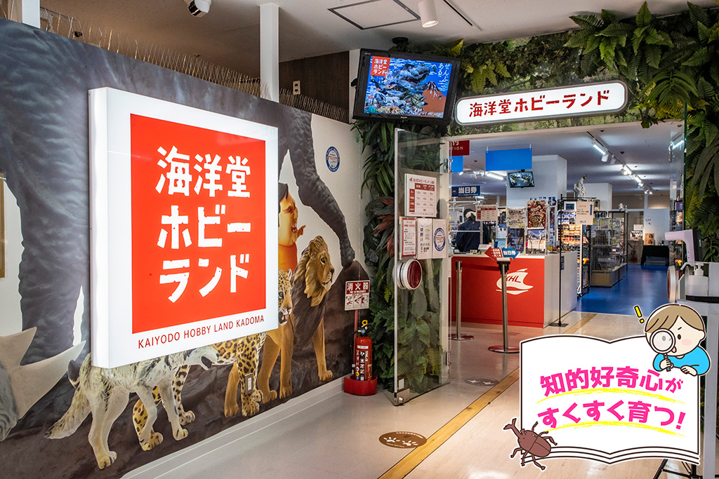 海洋堂ホビーランド（大阪府/門真市）