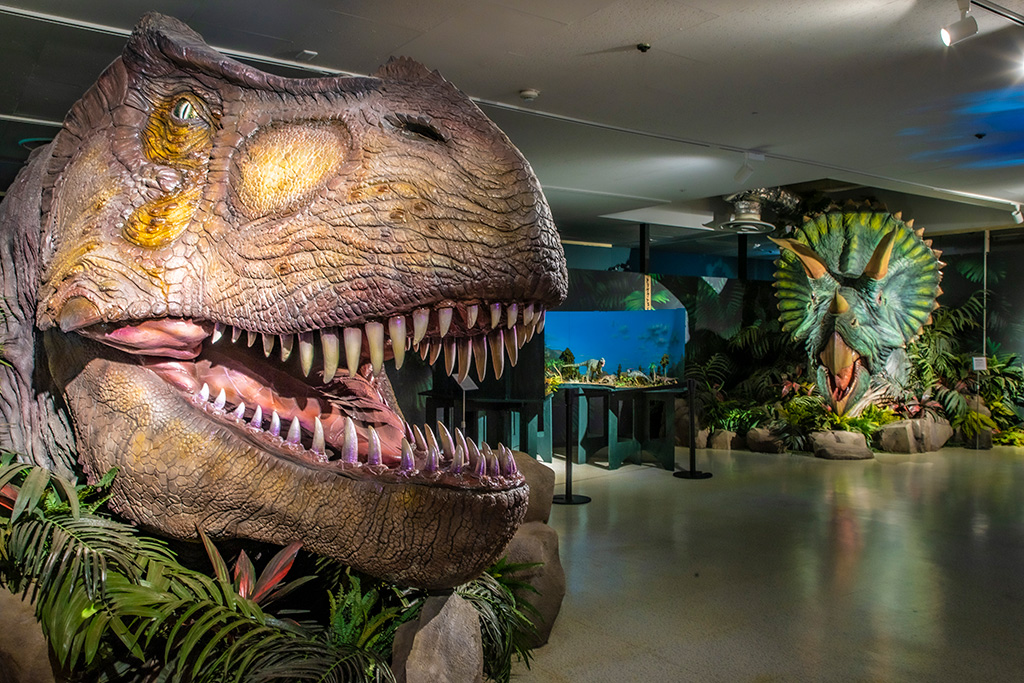 「友情の森」/海洋堂ホビーランド（大阪府/門真市）