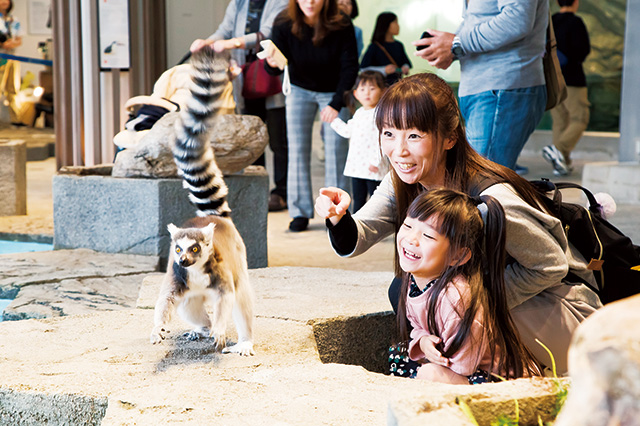 NIFREL（大阪府/吹田市）