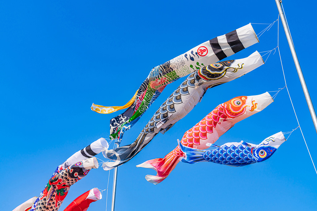 こいのぼり｜5月イメージ