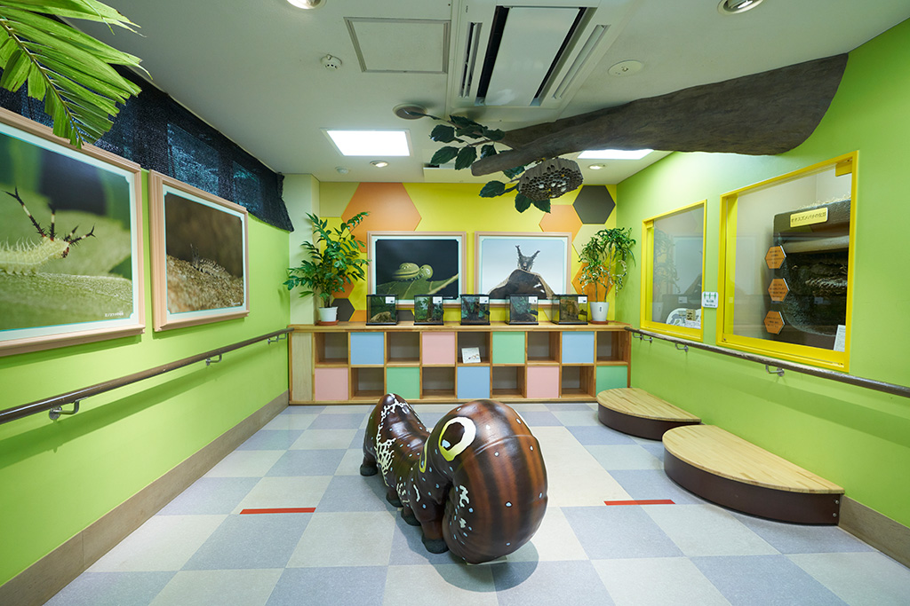 キッズコーナー/箕面公園昆虫館（大阪府/箕面市）