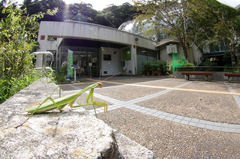 みのおこうえん昆虫クラブ/箕面公園昆虫館（大阪府/箕面市）