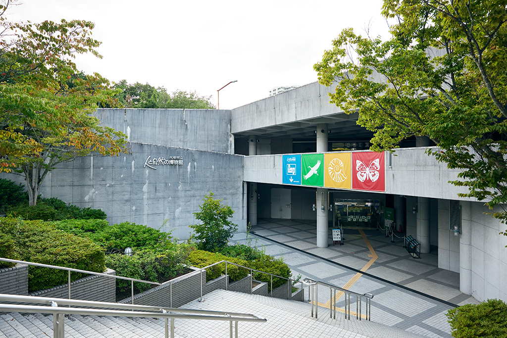 兵庫県立人と自然の博物館（三田市）