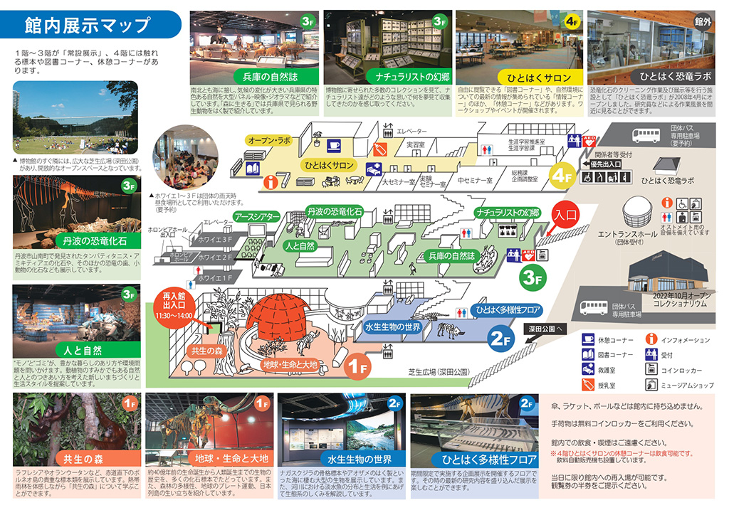 フロアマップ/兵庫県立人と自然の博物館（三田市）
