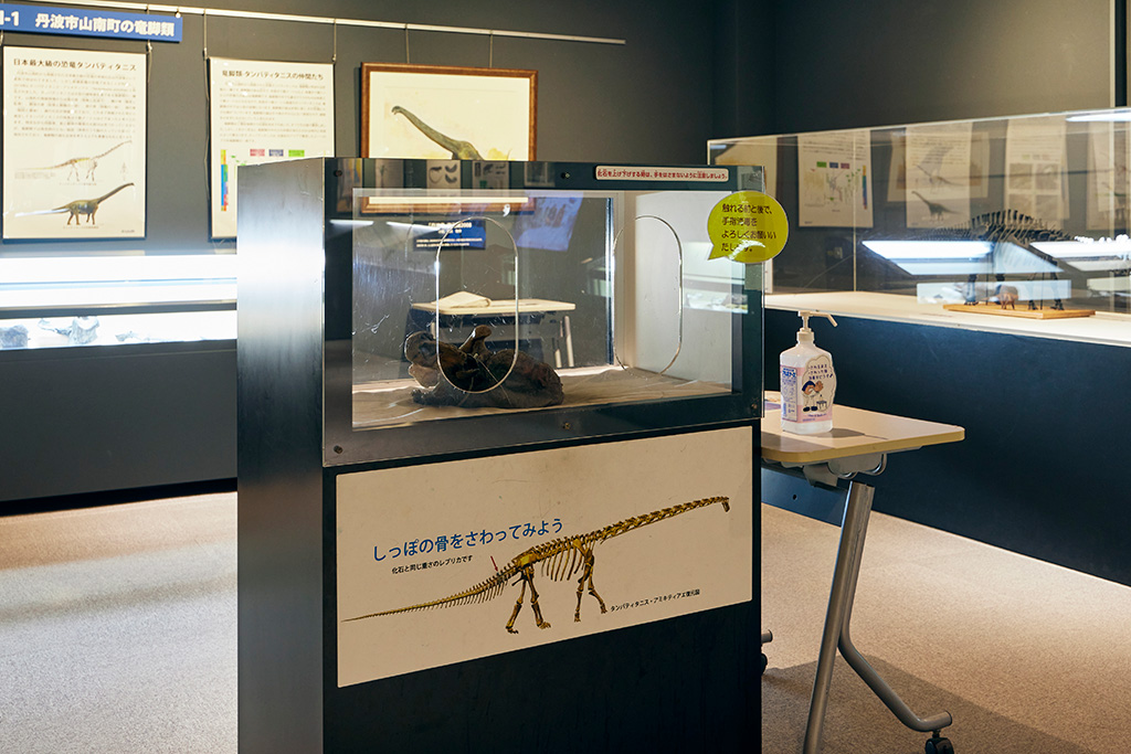 「兵庫の恐竜化石」エリア/兵庫県立人と自然の博物館（三田市）