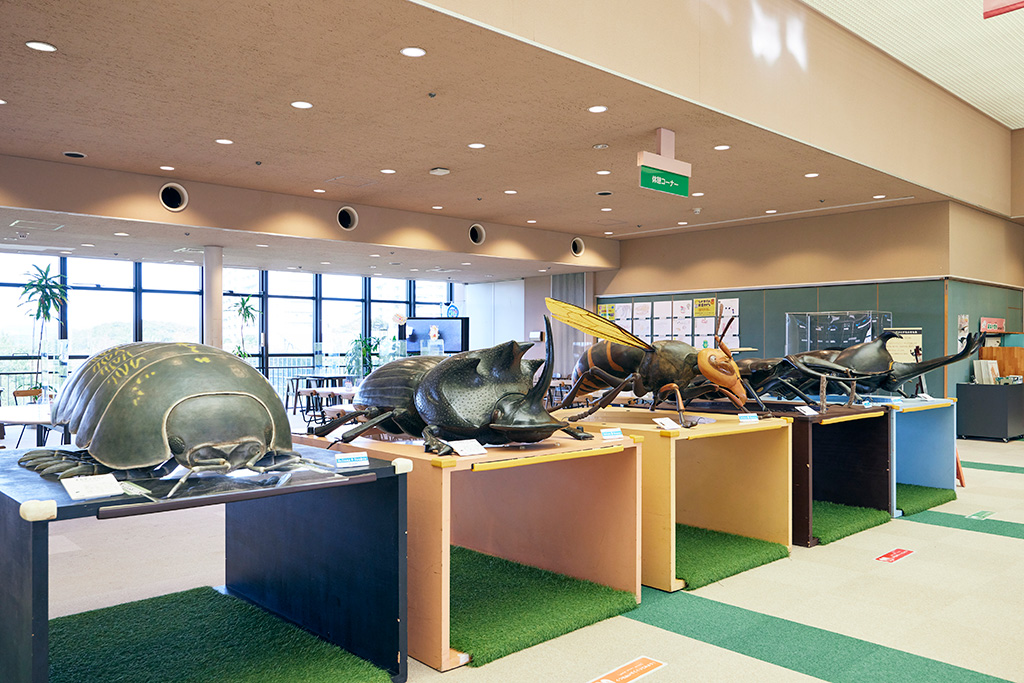 「休憩コーナー」/兵庫県立人と自然の博物館（三田市）