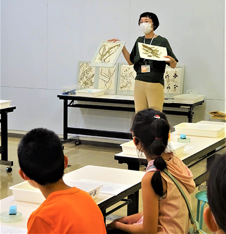 はかせと学ぼう/兵庫県立人と自然の博物館（三田市）