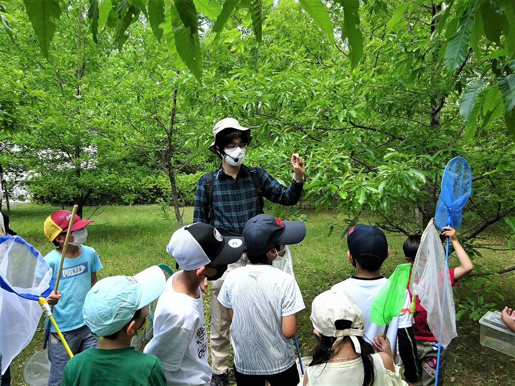 ひとはく探検隊/兵庫県立人と自然の博物館（三田市）