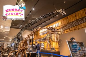 丹波竜化石工房「ちーたんの館」（兵庫県）は本物の恐竜の化石が発見された地に立つミュージアム