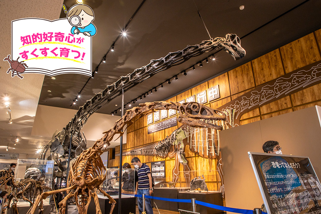 丹波竜化石工房「ちーたんの館」（兵庫県/丹波市）