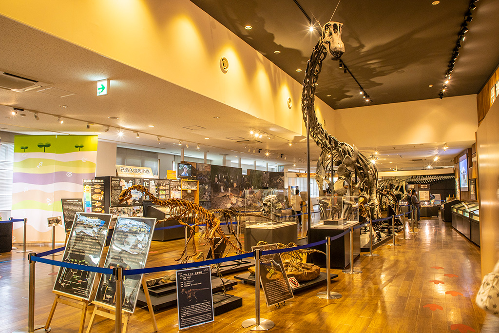 丹波竜の骨化石/丹波竜化石工房「ちーたんの館」（兵庫県/丹波市）