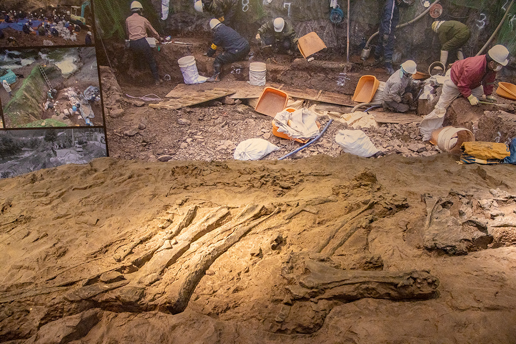 発掘調査の現場を再現/丹波竜化石工房「ちーたんの館」（兵庫県/丹波市）