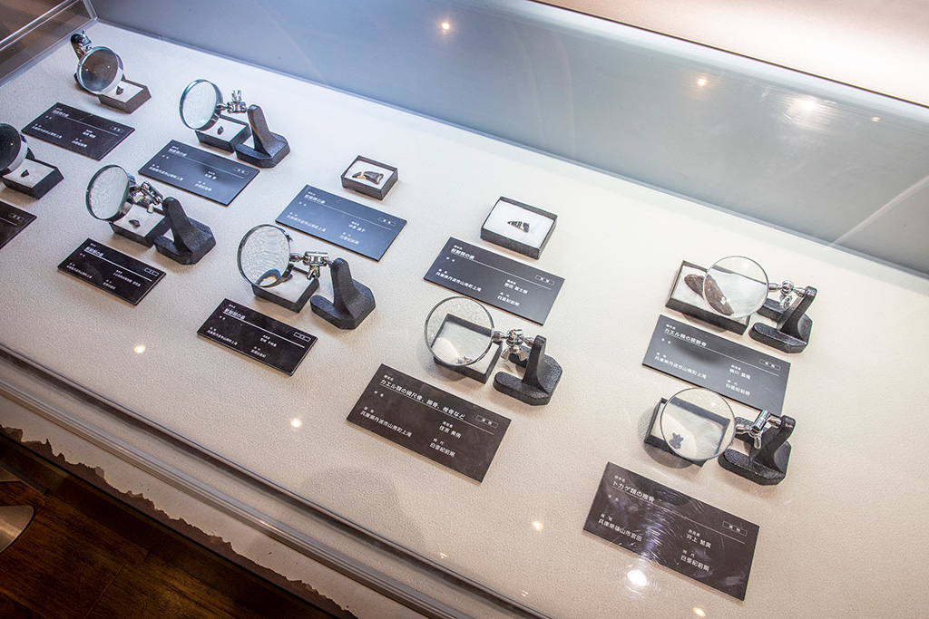 大地の中に含まれる岩石の紹介/丹波竜化石工房「ちーたんの館」（兵庫県/丹波市）