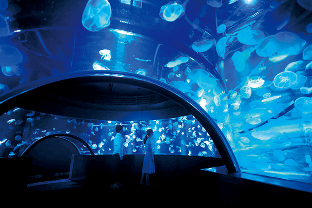 水槽「GURURI」/京都水族館（京都府/京都市）