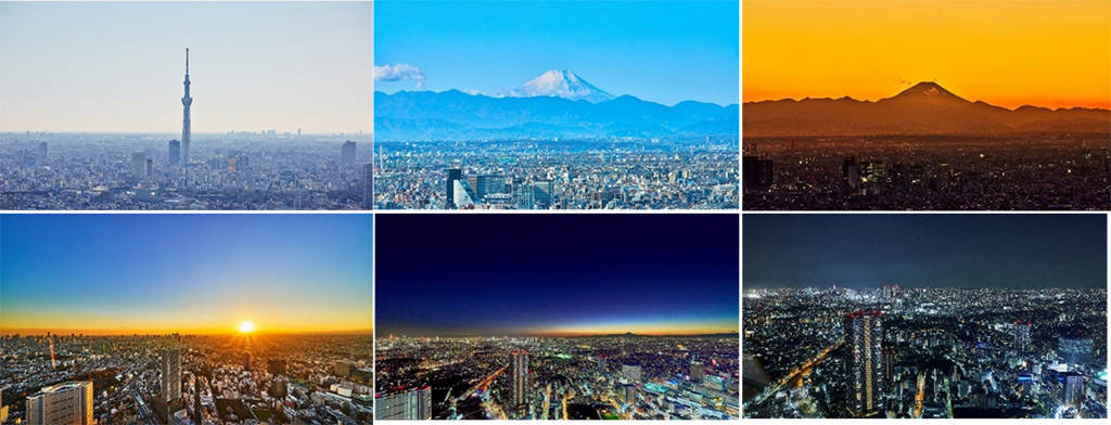 イベントスペースから見える景色/サンシャイン60展望台 てんぼうパーク(東京都/豊島区)