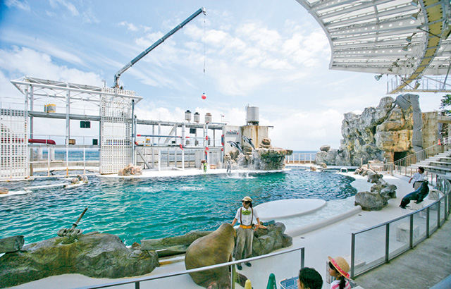 イルカ＆アシカショー/城崎マリンワールド（兵庫県/豊岡市）