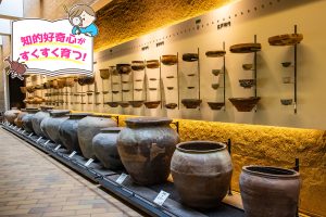 兵庫県立考古博物館（兵庫県）で考古学の深淵な世界にハマる！
