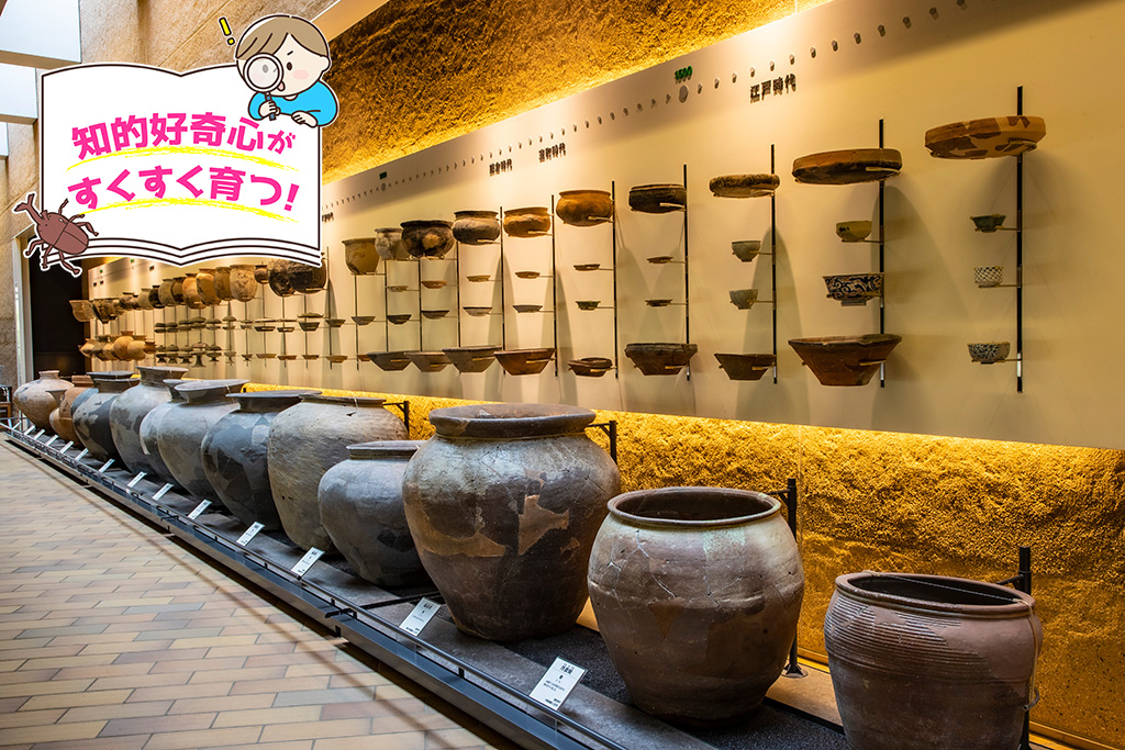 兵庫県立考古博物館（播磨町）