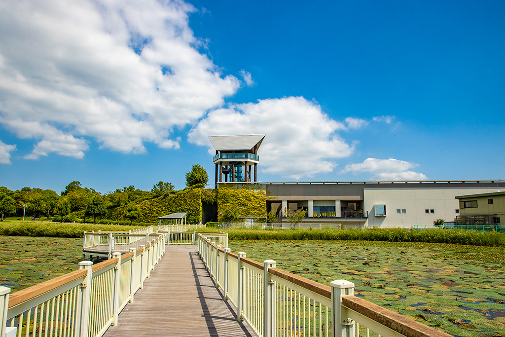 兵庫県立考古博物館(播磨町)