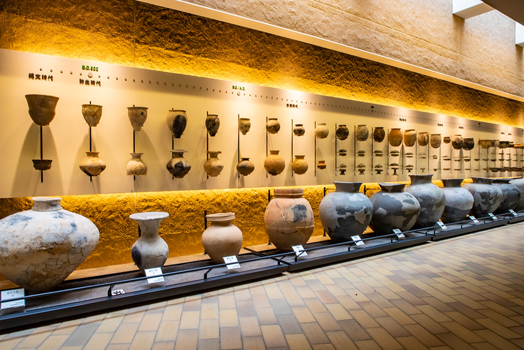エントランスホール/兵庫県立考古博物館(播磨町)