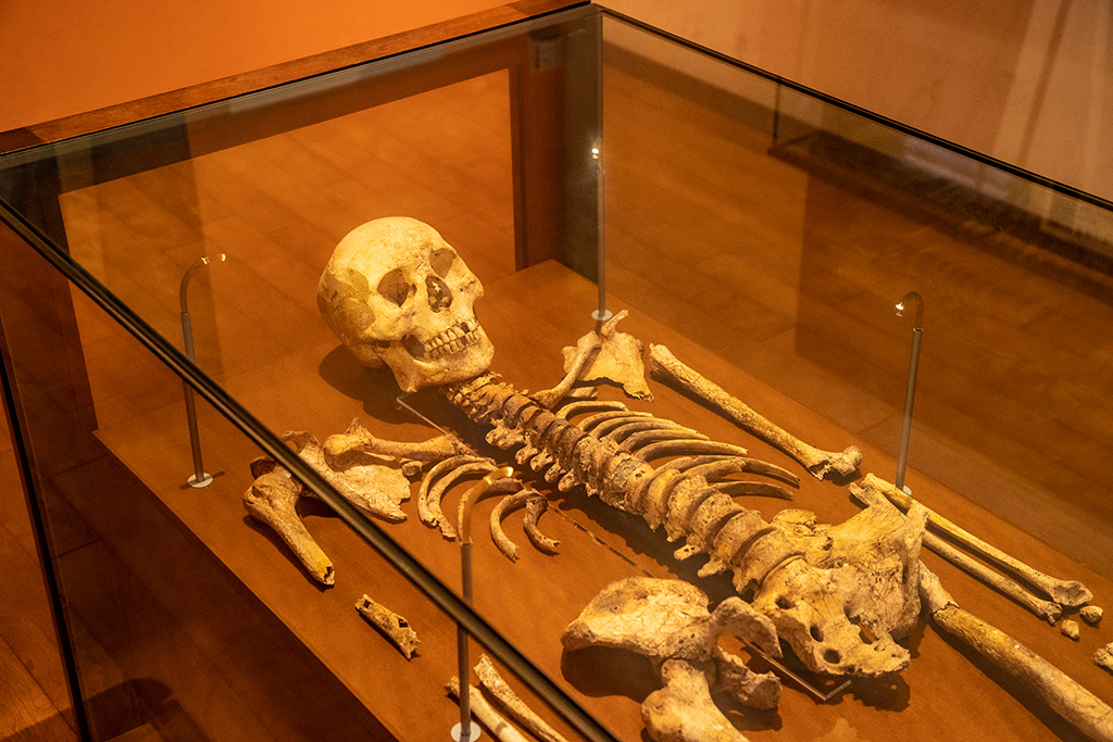 遺跡で見つかった人骨/兵庫県立考古博物館(播磨町)